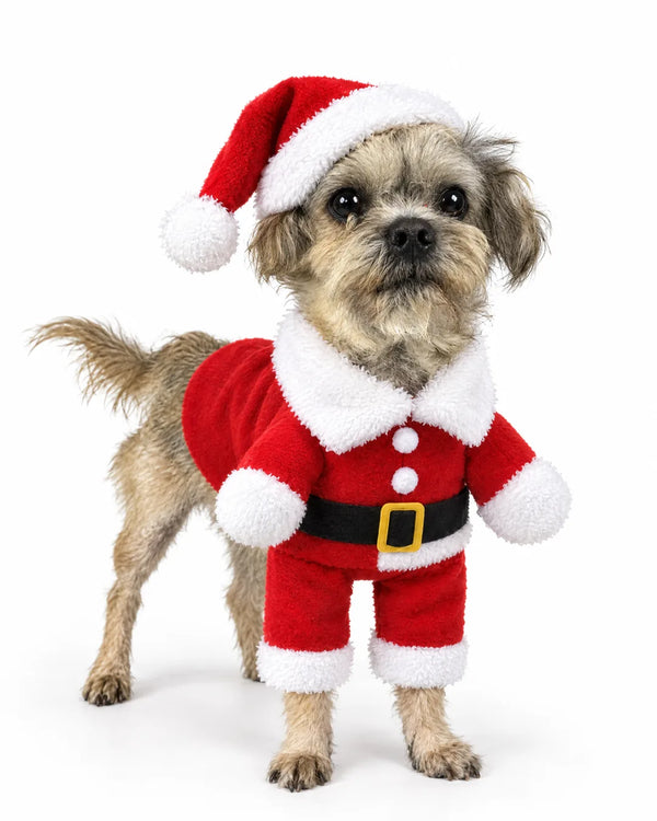 The Mini Santa Suit